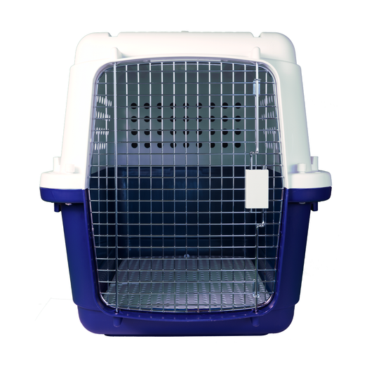 BB55 Travel Carrier