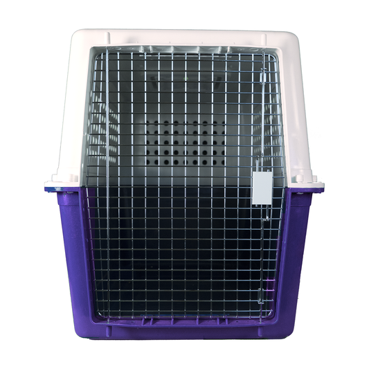 BB65 Travel Carrier
